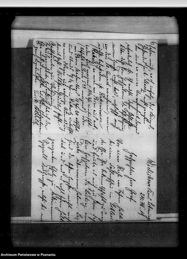 Obraz 10 z jednostki "Sprawy stadnin stadniny - ogólne zarządu stadnin"