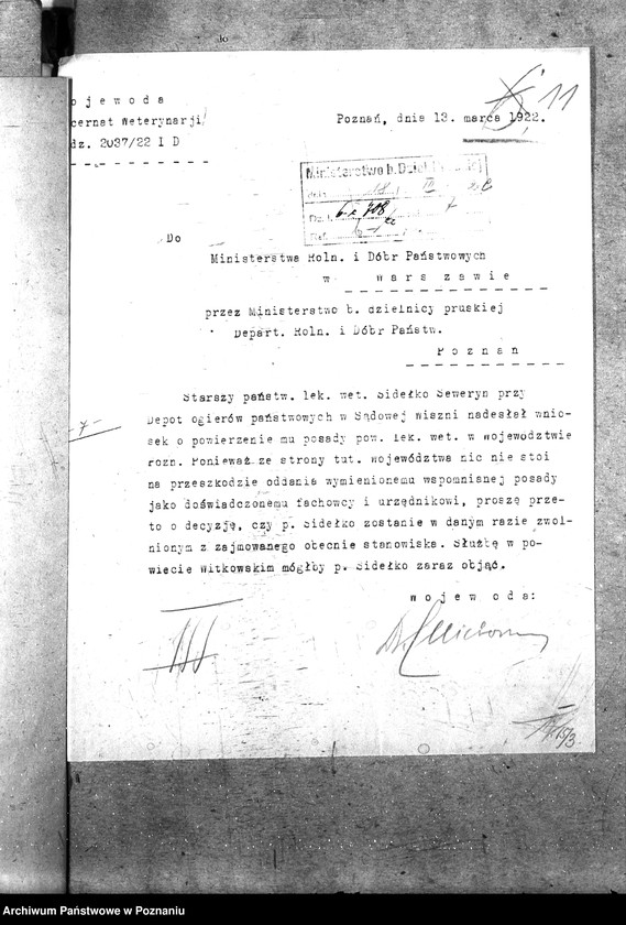 Obraz 16 z jednostki "Pow. lekarz Weterynaryjny Witkowo"