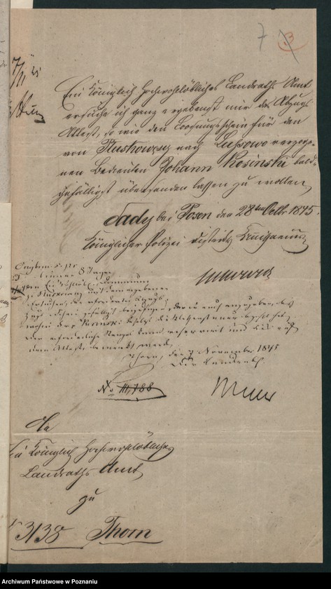 Obraz 10 z jednostki "A. betr. Johann Kosinski alias Grudowicz"