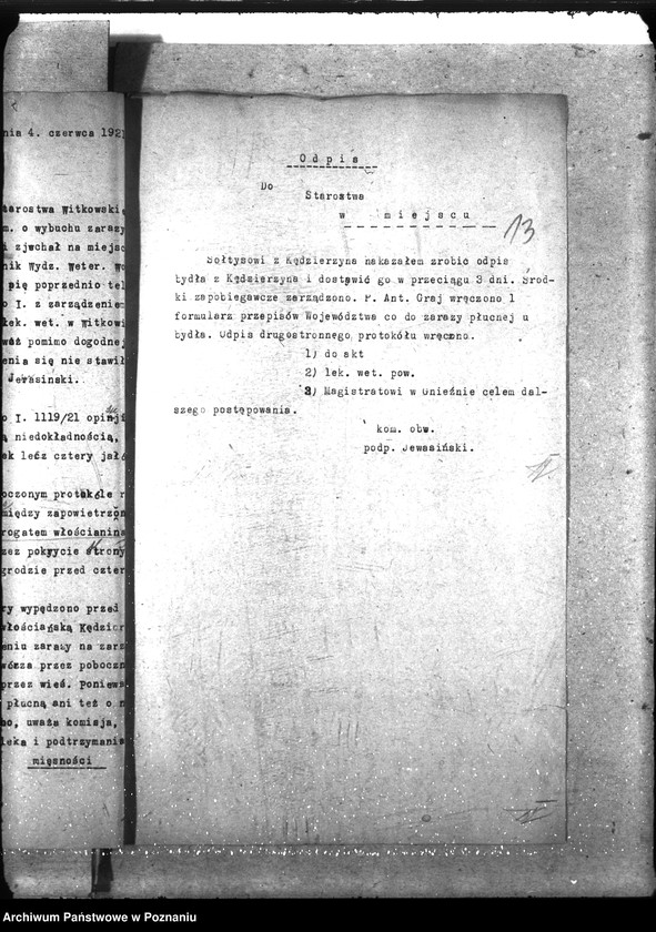 Obraz 18 z jednostki "Zaraza płucna - Witkowo"