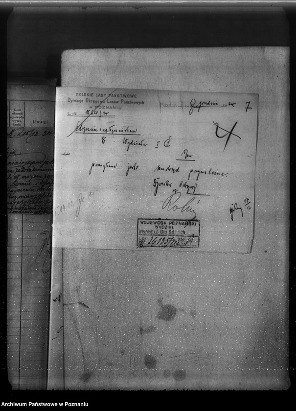 Obraz 11 z jednostki "Majętność leśna Linie w powiecie nowotomyskim"