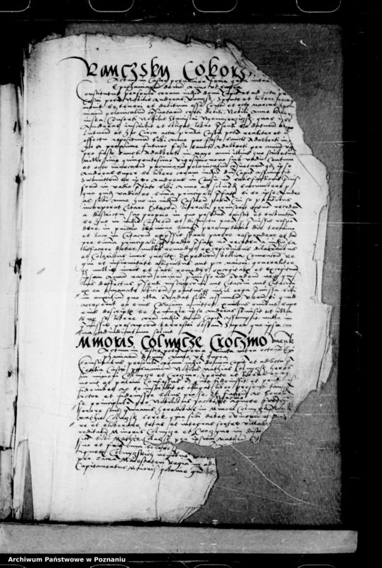 Obraz 6 z jednostki "Inscriptiones, relationes, decreta [inducta]"