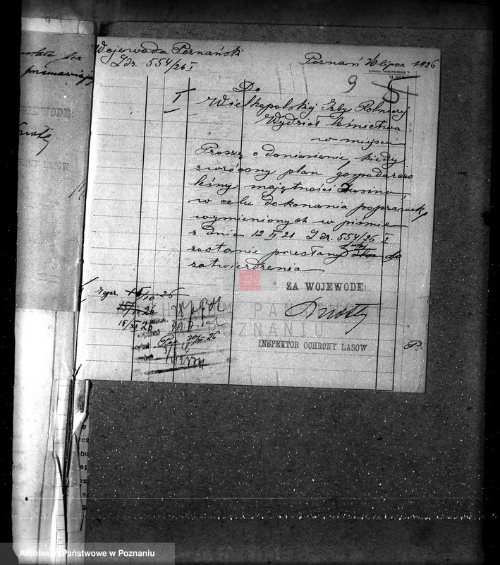 Obraz 13 z jednostki "Nadzór nad gospodarką w lasach majątku Dusina w powiecie gostyńskim"