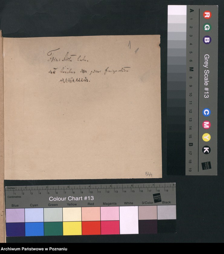 Obraz 4 z jednostki "A. betr. die polnische Emigration"