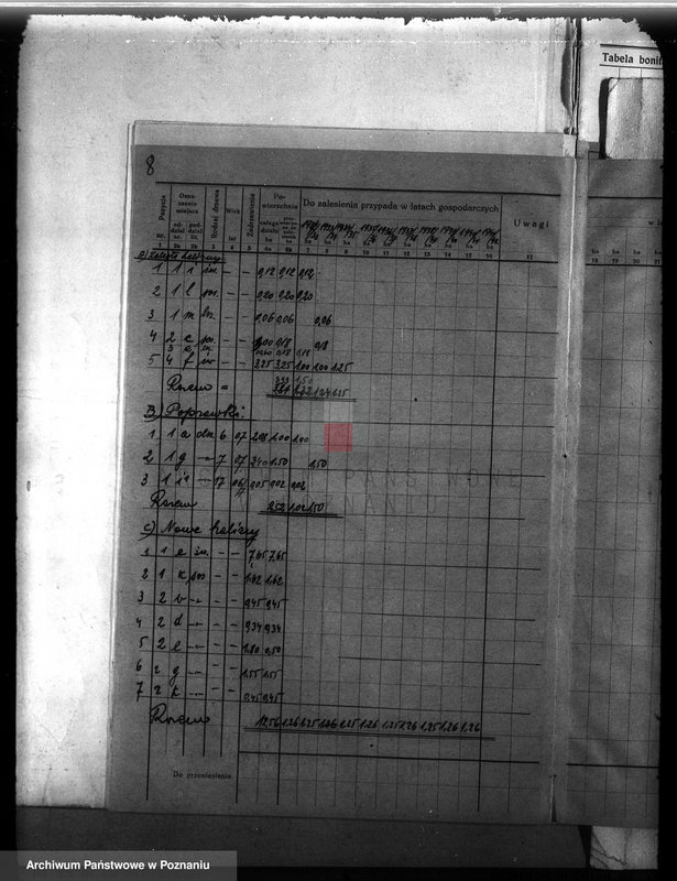 Obraz 12 z jednostki "Probostwo Stoki" powiat międzychodzki plan urządzenia gospodarstwa leśnego"