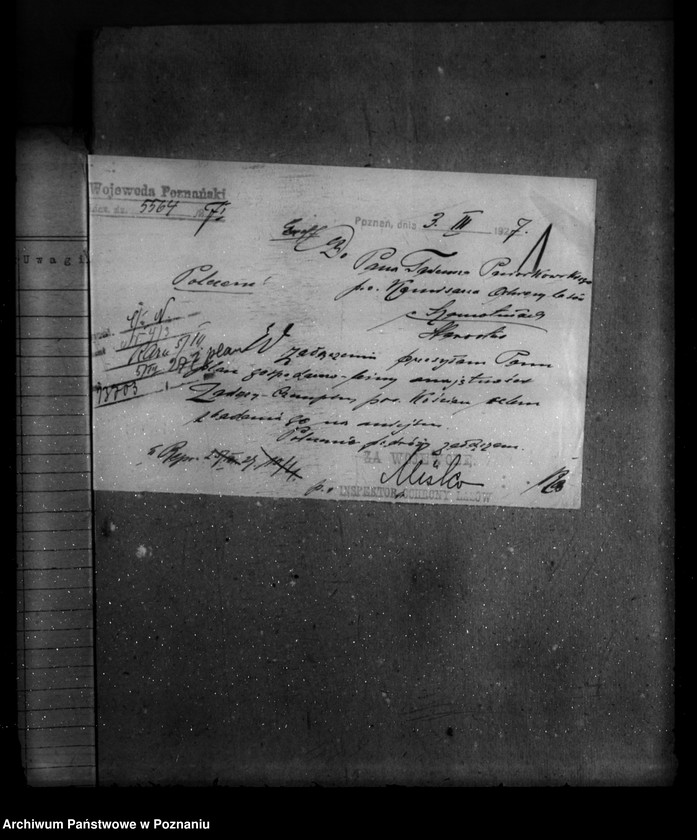 Obraz 5 z jednostki "Majętność leśna Zadory powiat kościański"