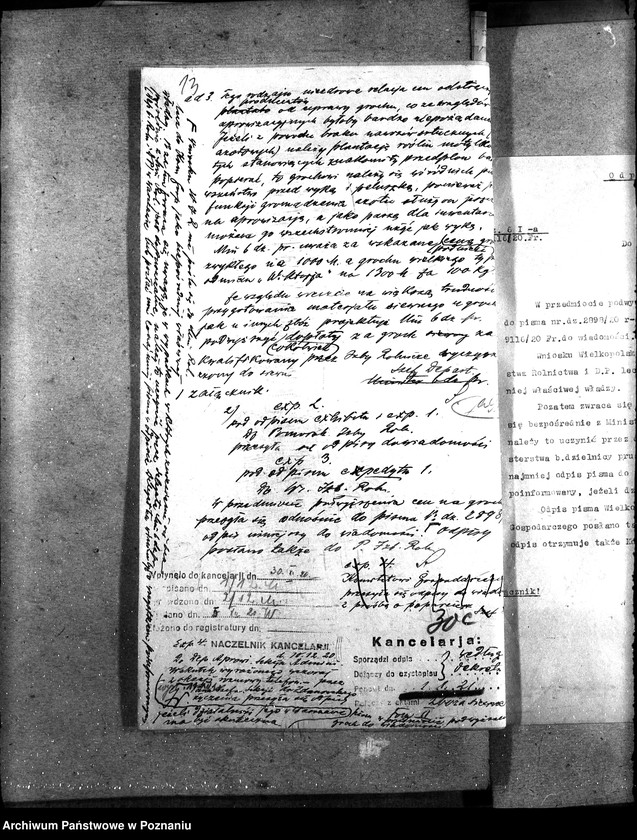 Obraz 17 z jednostki "Sprawy ogólno-administracyjne Zboże siewne"