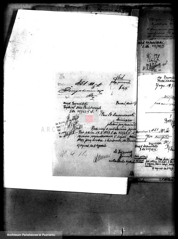 Obraz 20 z jednostki "Drzewostan w majętności państwowej Miniszew"