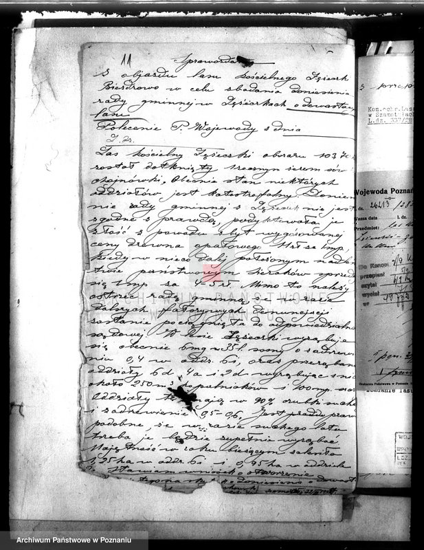 Obraz 15 z jednostki "Kościół katolicki Biezdrowo Łężeczki powiat międzychodzki /nadzór nad gospodarką leśną/"