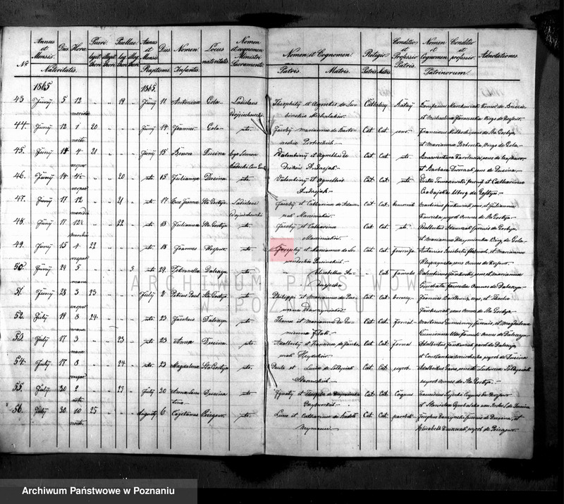 Obraz 5 z jednostki "Liber baptisatorum"
