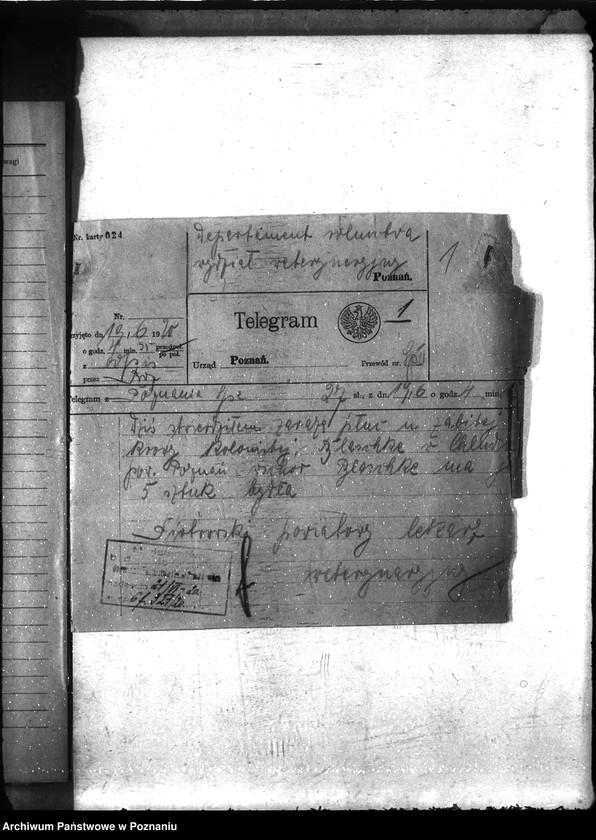 Obraz 5 z jednostki "Zaraza płucna - Poznań-Wschód"