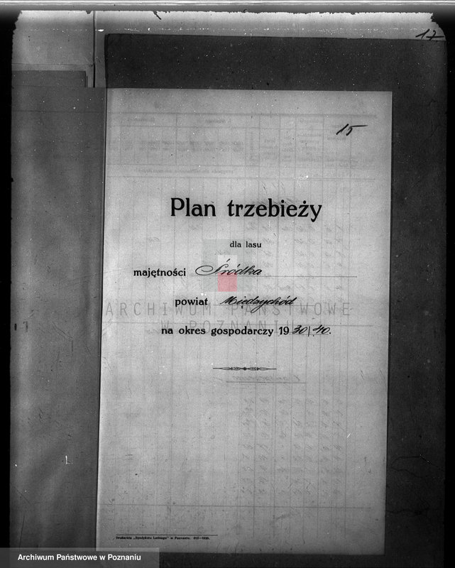 Obraz 19 z jednostki "Plan urządzenia gospodarstwa leśnego dla lasu majętności Śródka w powiecie międzychodzkim 1930-1940"