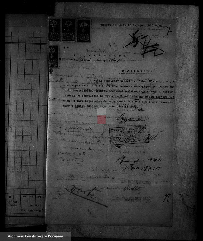 Obraz 12 z jednostki "Nadzór nad gospodarką w lasach majętności Markowice powiat mogileński"