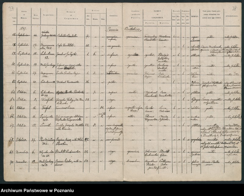 Obraz 16 z jednostki "Księga zgonów"