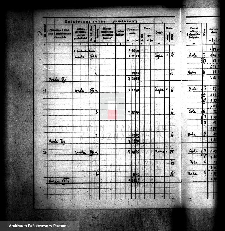 Obraz 19 z jednostki "Ostateczny rejestr pomiarowy gromady Czajcze powiatu wyrzyskiego"