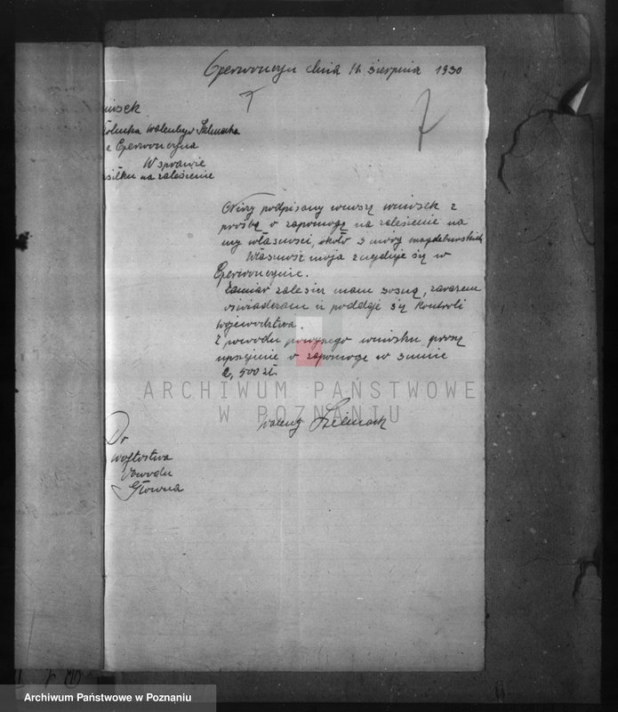 Obraz 11 z jednostki "Zalesienie nieużytków w powiecie poznańskim"