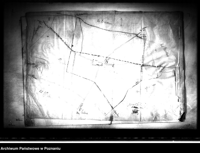 image.from.unit.number "Majątek Buszkowo powiatu konińskiego wyłączenie z art. 5 ustawy o wykonaniu reformy rolnej"