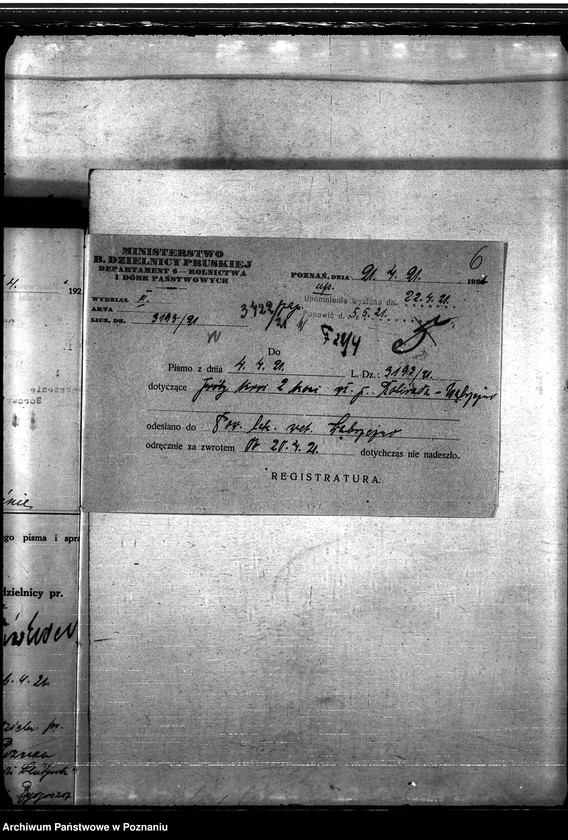 Obraz 10 z jednostki "Nosacizna - Wąbrzeźno"