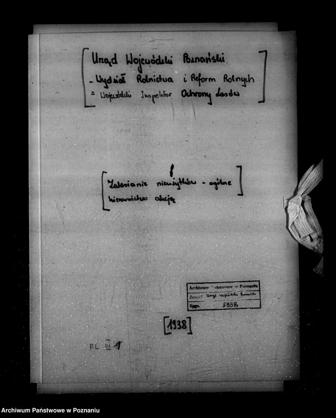 Obraz 4 z jednostki "/Zalesienie nieużytków ogólne kierownictwo akcją/"