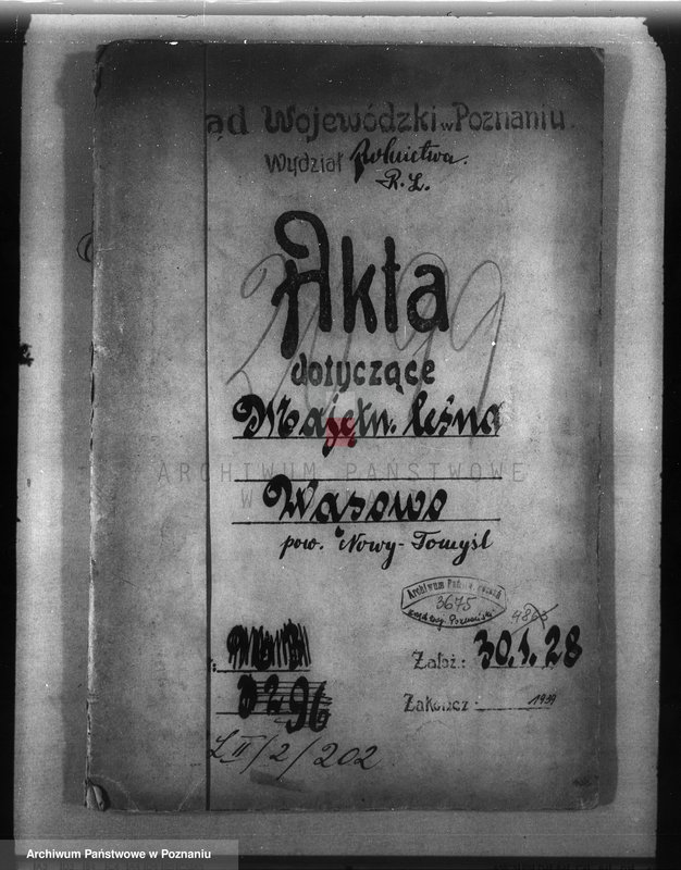 Obraz 4 z jednostki "Majętność leśna Wąsowo w powiecie nowotomyskim"