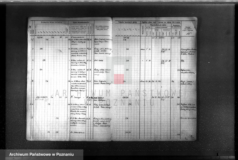 image.from.unit.number "Plan urządzenia gospodarstwa leśnego Baborówko-Baborowo powiat szamotulsko-obornicki 1929-1939"