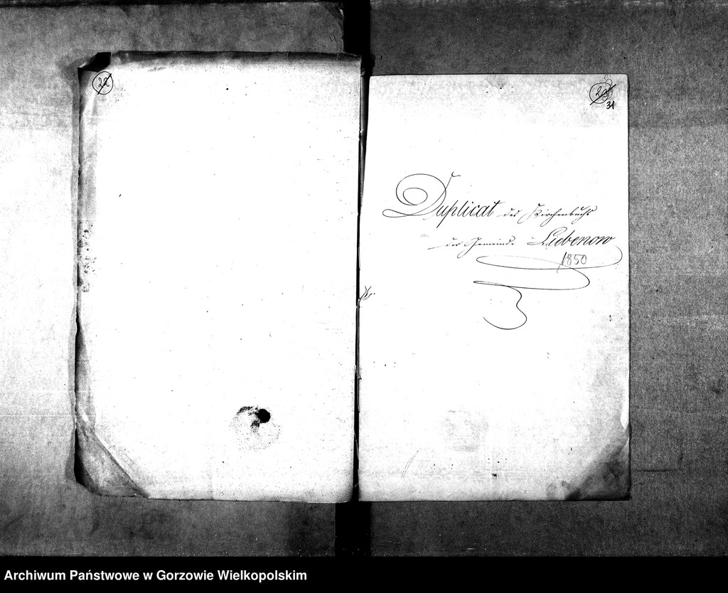 image.from.unit.number "Duplikate der Kirchenbücher von der Parochie Hohenwalde: Hohenwalde (Wysoka), Liebenow (Lubno)"