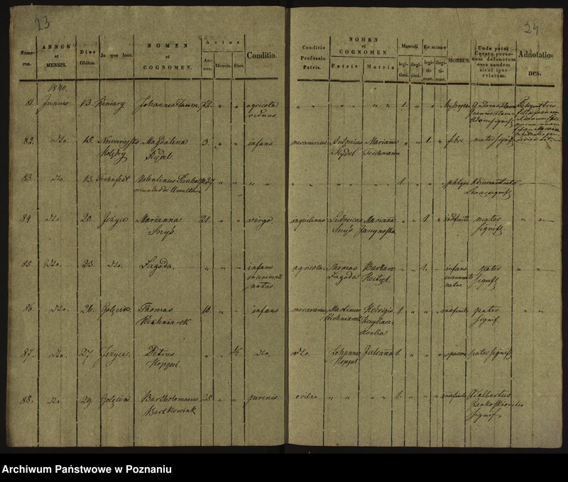 Obraz 15 z jednostki "Księga zgonów"