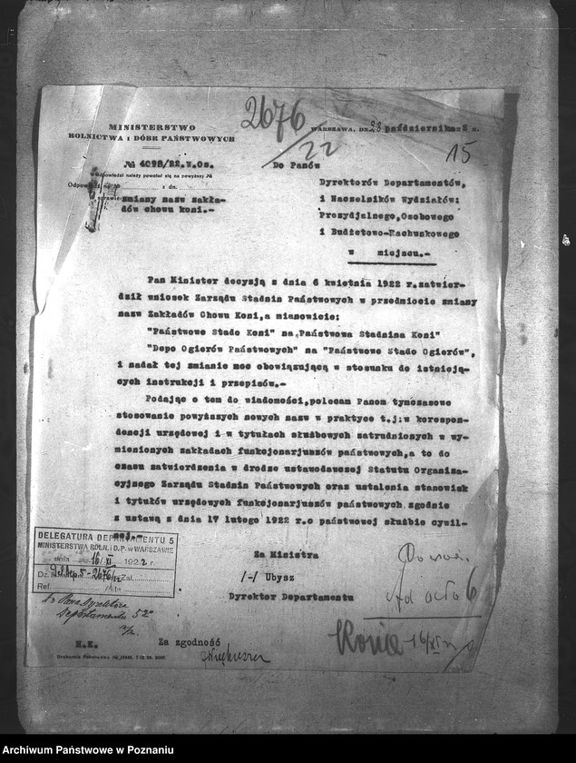 Obraz 19 z jednostki "Konie"