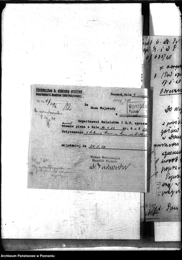 Obraz 16 z jednostki "Nosacizna - Gostyń"