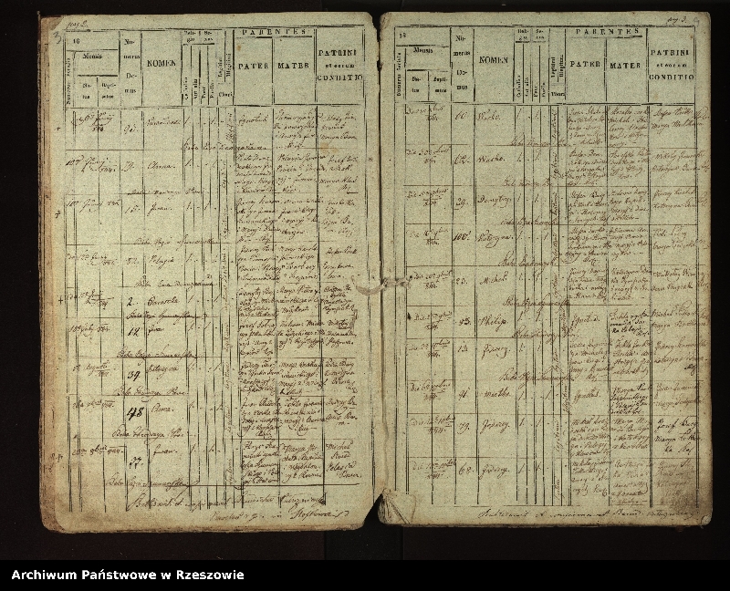 image.from.unit.number "Księga urodzeń dla miejscowości Stefkowa"