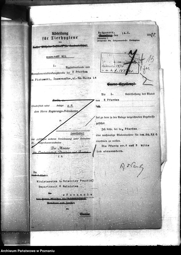 Obraz 18 z jednostki "Nosacizna - Inowrocław"