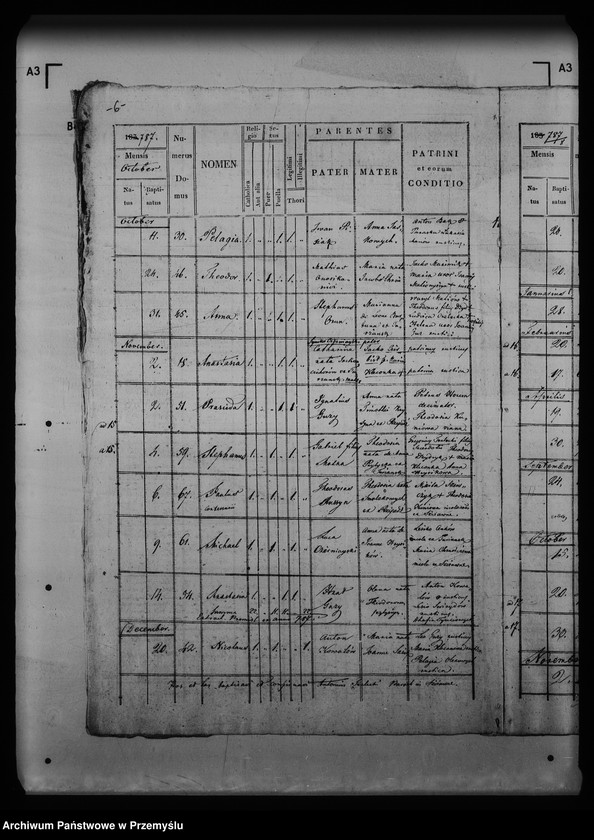 image.from.unit.number "[Kopie ksiąg metrykalnych parafii Szczawne z filią Kulaszne (dekanat Łupków)]"