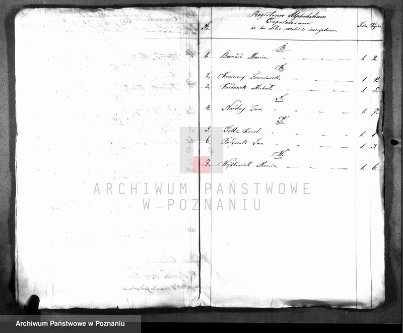 Obraz 8 z jednostki "Duplicatum baptisatorum, copulatorum, mortuorum"