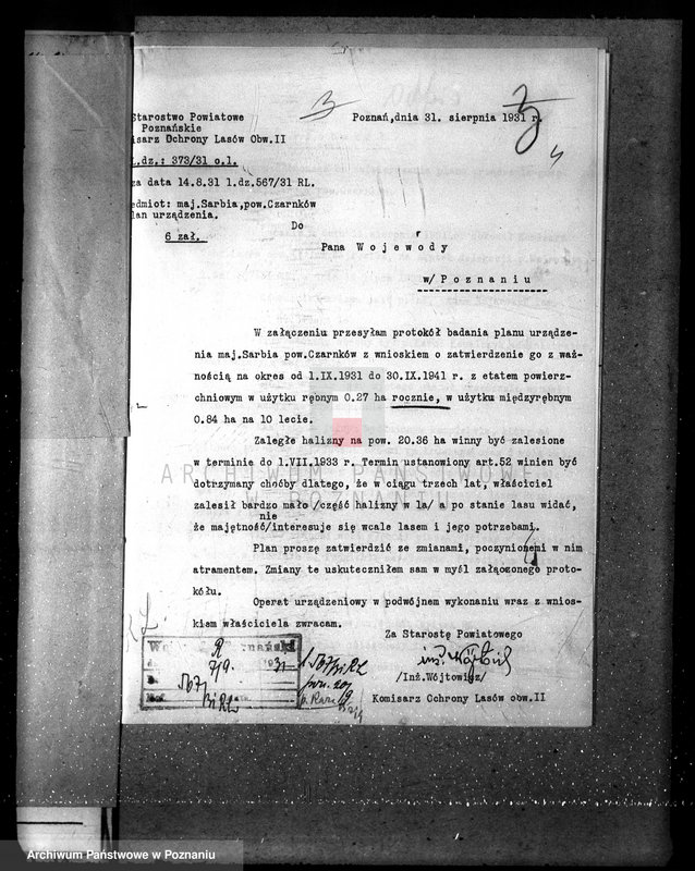 Obraz 9 z jednostki "Majętność leśna w Sarbii w powiecie czarnkowskim"