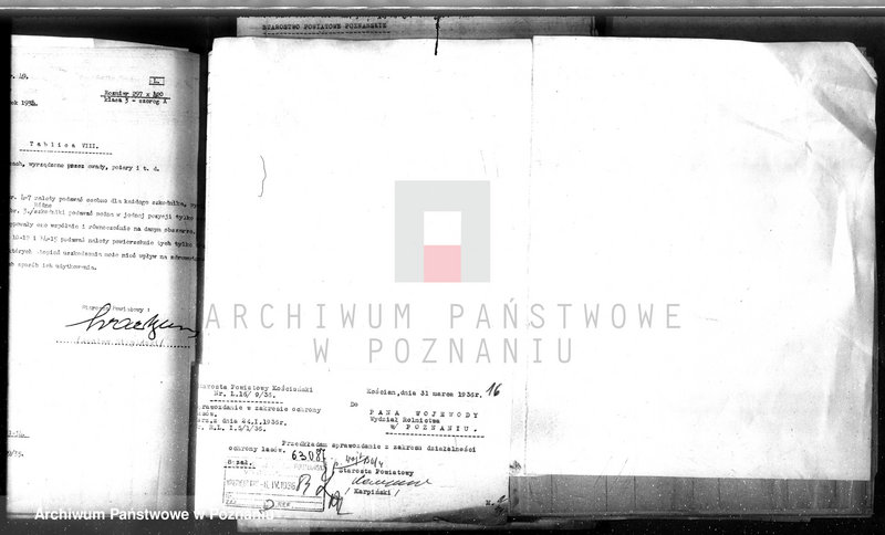 Obraz 20 z jednostki "Sprawozdanie roczne za 1935 rok /komisarzy ochrony lasów/"