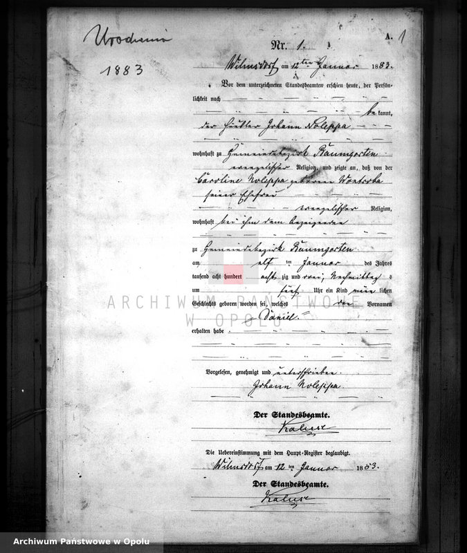 Obraz z jednostki "Urodzenia Dobiercice 1883"