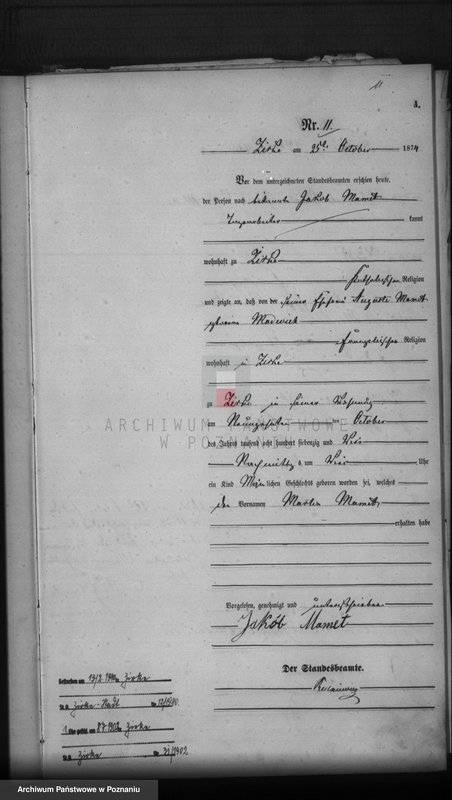 Obraz 13 z jednostki "Księga urodzeń"