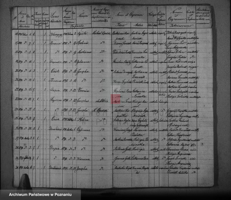 image.from.unit.number "Duplikat baptisatorum, copulatorum, mortuorum"