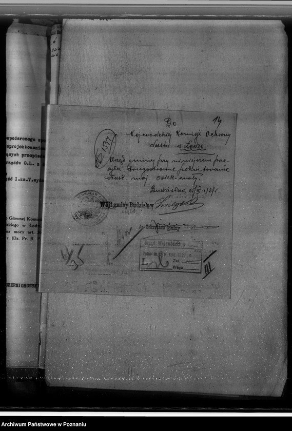 Obraz 18 z jednostki "Zatwierdzenie nowo sporządzonego projektu planu gospodarstwa dla majątku Osiek-Mały powiat kolski gmina Budzisław"