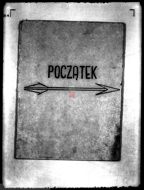 Obraz 3 z jednostki "Wielkopolski Związek Pszczelarski"