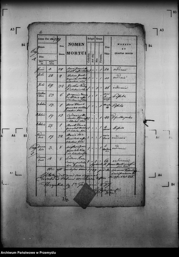 image.from.unit.number "[Kopie ksiąg metrykalnych parafii Leluchów z filią Dubne (dekanat Muszyna)]"