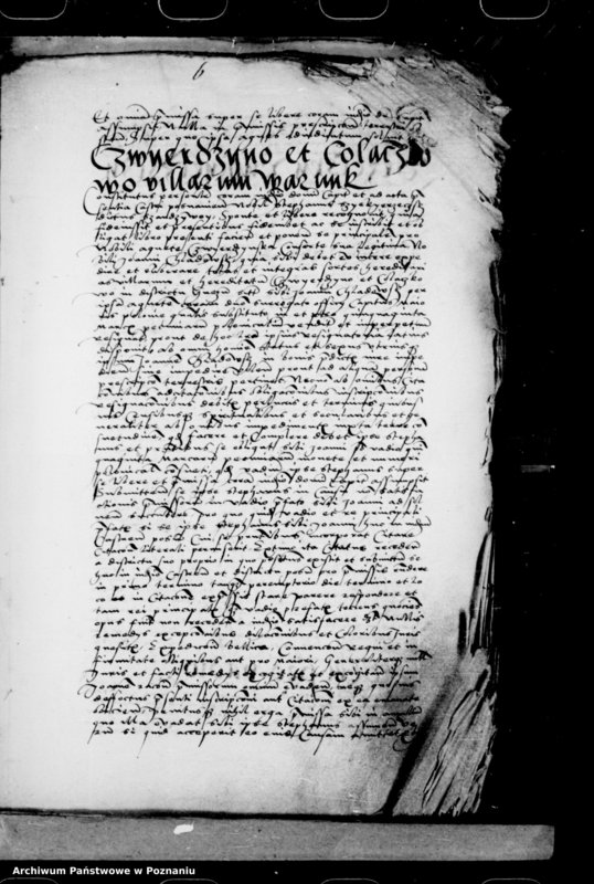 Obraz 13 z jednostki "Inscriptiones, relationes, decreta [inducta]"