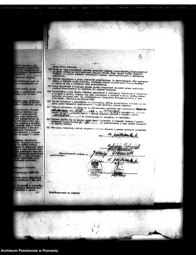 Obraz 7 z jednostki "Parcelacja lasu Witobel XV powiatu poznańskiego Jadwiga Urbaniak"