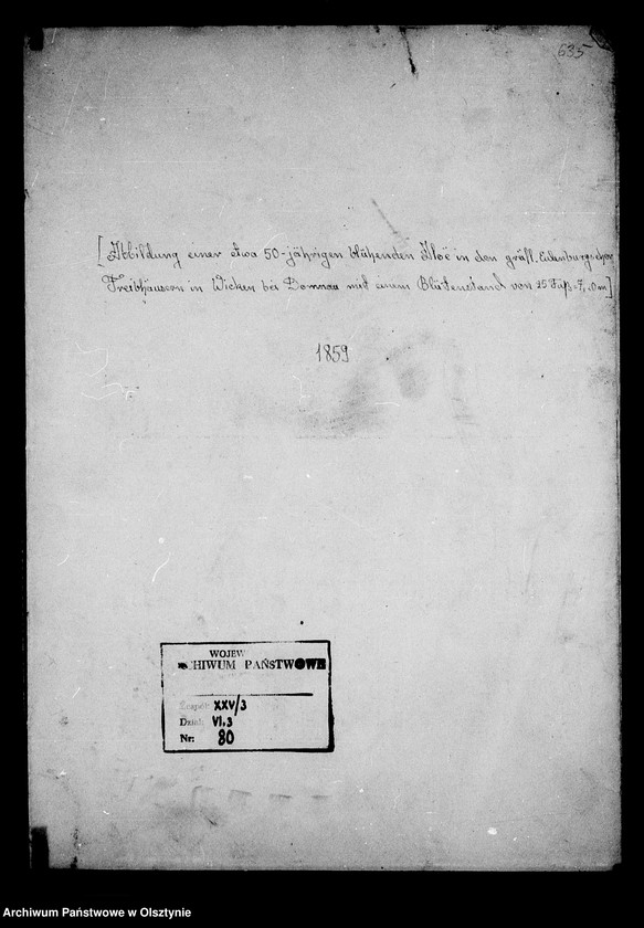 image.from.unit.number "/Litographie einer blühenden Aloë in den gräflichen Eulenburgschen Treibhäusern in Wicken bei Domnau/"