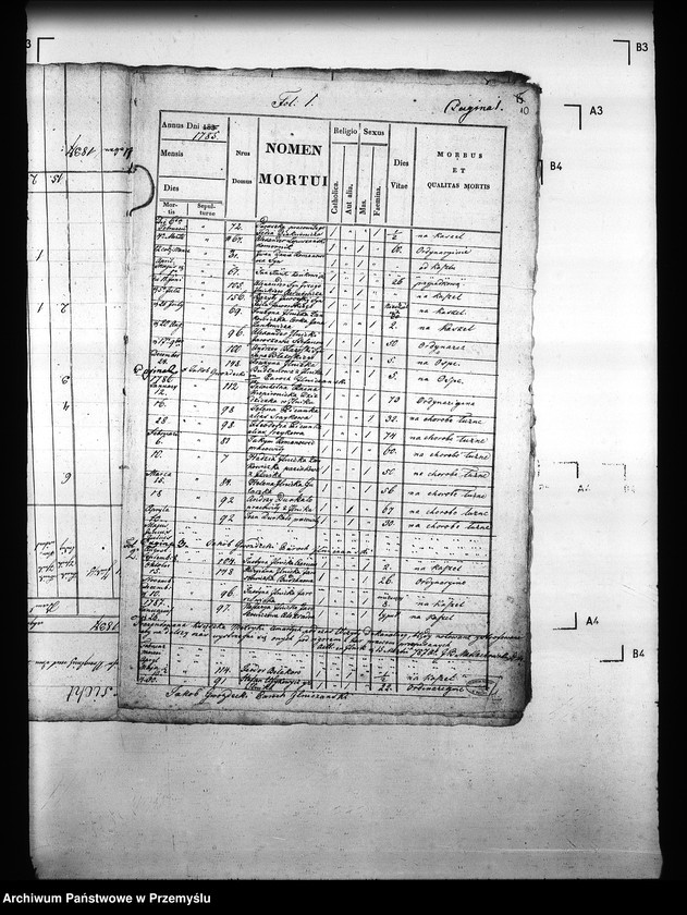 Obraz 15 z jednostki "[Kopie ksiąg metrykalnych parafii Ilnik (dekanat Turka)]"