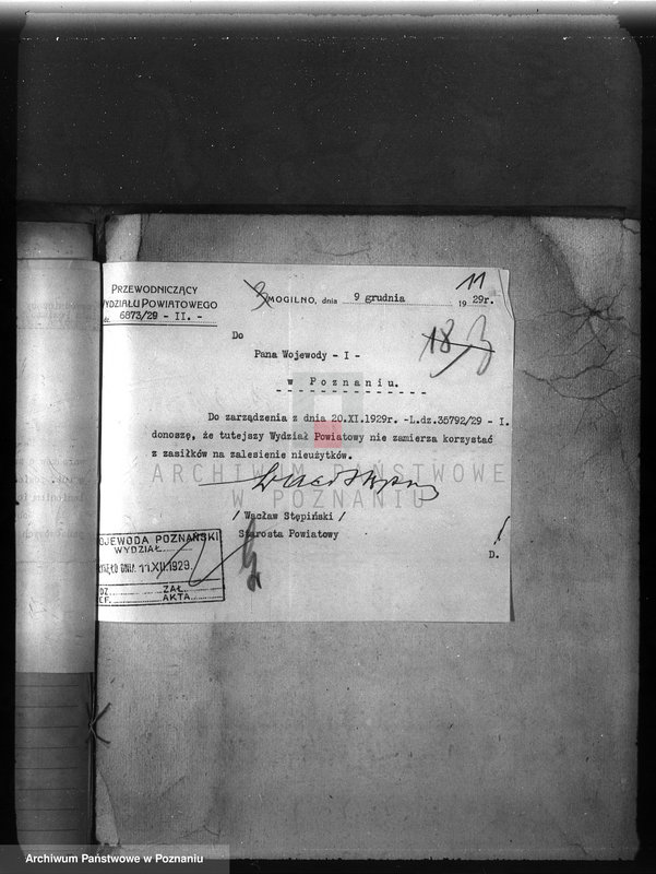 Obraz 15 z jednostki "Zalesienie nieużytków w powiecie mogileńskim"