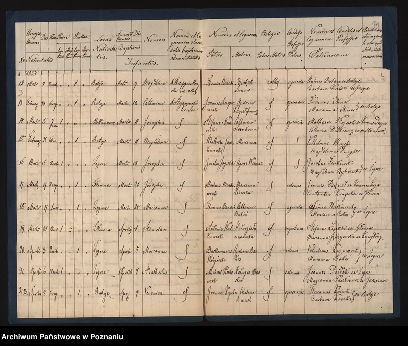 Obraz 5 z jednostki "Księga urodzeń"