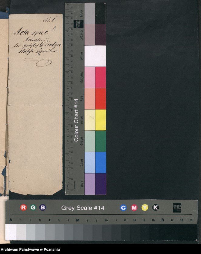 Obraz 4 z jednostki "A. betr. die Gräfliche Familie Działyński, besonders die Grafen Titus und Johann"