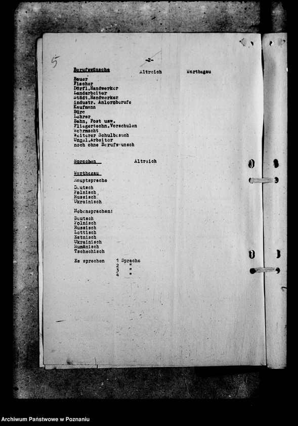 Obraz 9 z jednostki "Gebietssportfest"