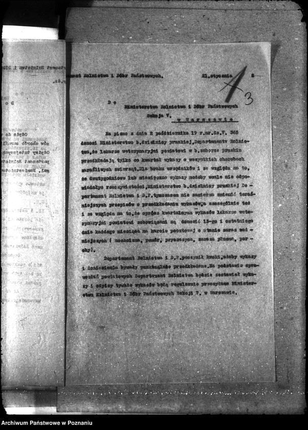 Obraz 7 z jednostki "Sprawy ogólne Wykazy chorób zaraźliwych; [księgosusz, zaraza płucna]"